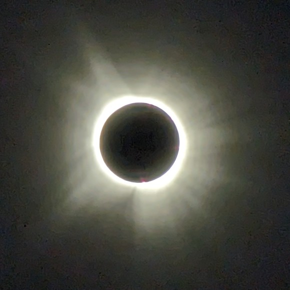 Meet your Posher, Alina - Picture 1 of 1